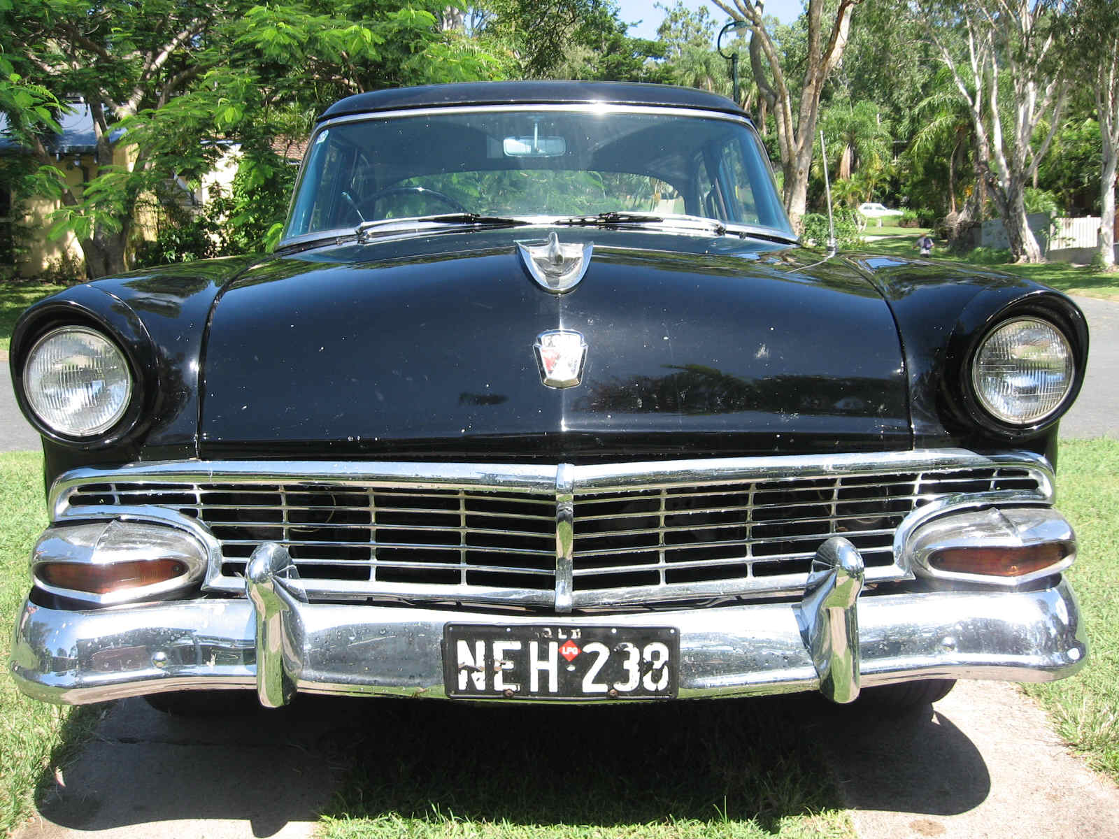 56 Qld Cussy Sale cropped 3