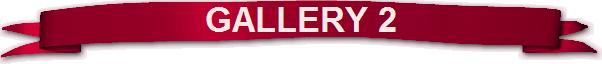 GALLERY 2