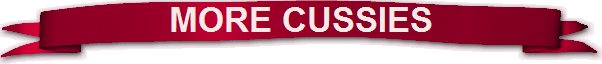 MORE CUSSIES